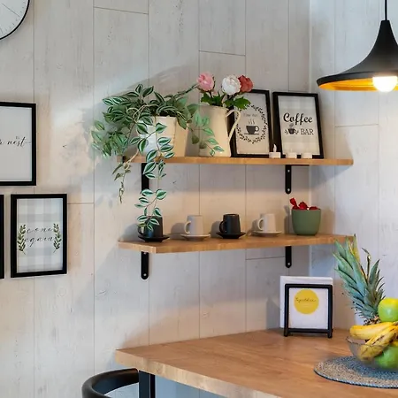 Bombonica * 즐라티보